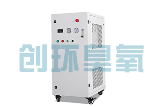 永州石斑鱼养殖水质调控完整指南:臭氧发生器配置与操作步骤