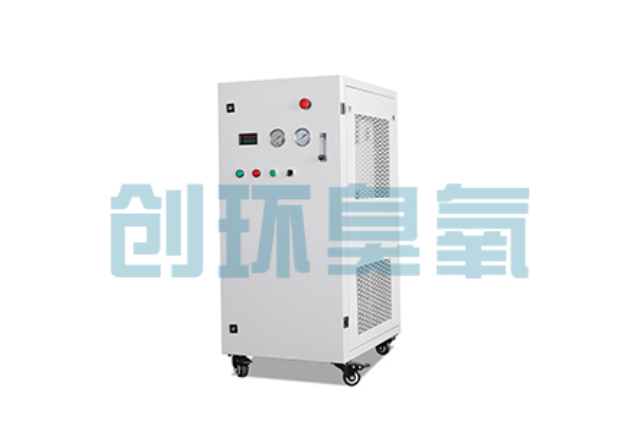 永州2026年石斑鱼养殖新趋势:为什么高密度循环水必须配备臭氧发生器?
