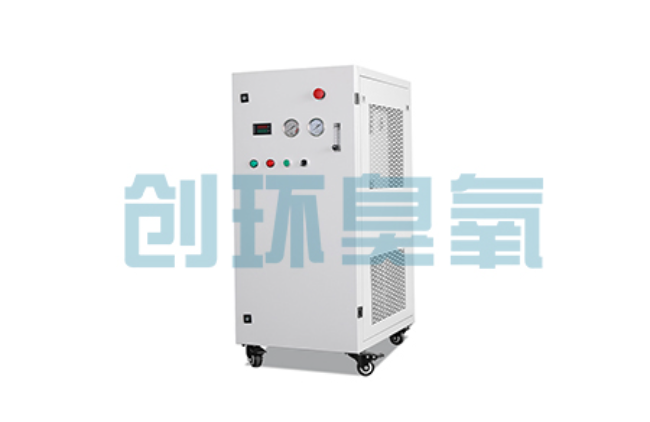 永州比传统换水更高效?臭氧发生器在石斑鱼养殖中的水质净化原理解析
